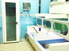 ittica-capri-vasche-nuove-2